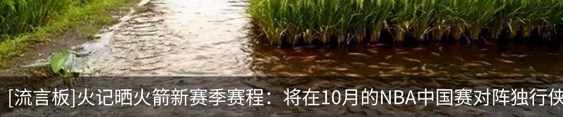 新闻中心